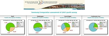 Youth Survey 2007 summary