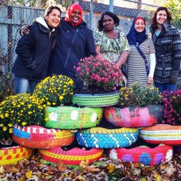 Community Action project ~ Abid Ullah Jan